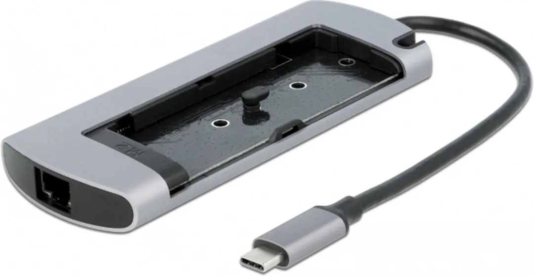 Delock 87767 USB-C Docking Station - M.2 Slot - Grijs