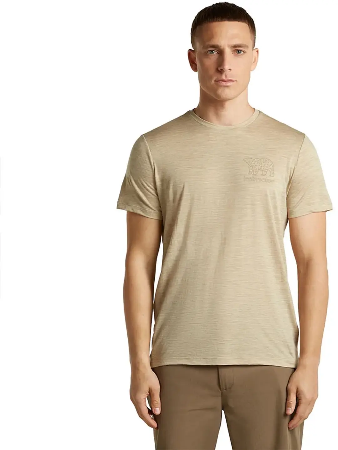 Icebreaker 150 Tech Lite Forest T-shirt Met Korte Mouwen Beige S Man