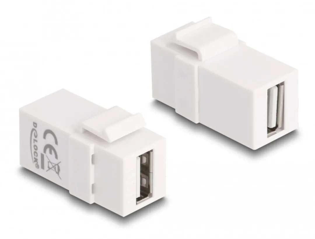 Delock Keystone Module USB 2.0 Wit