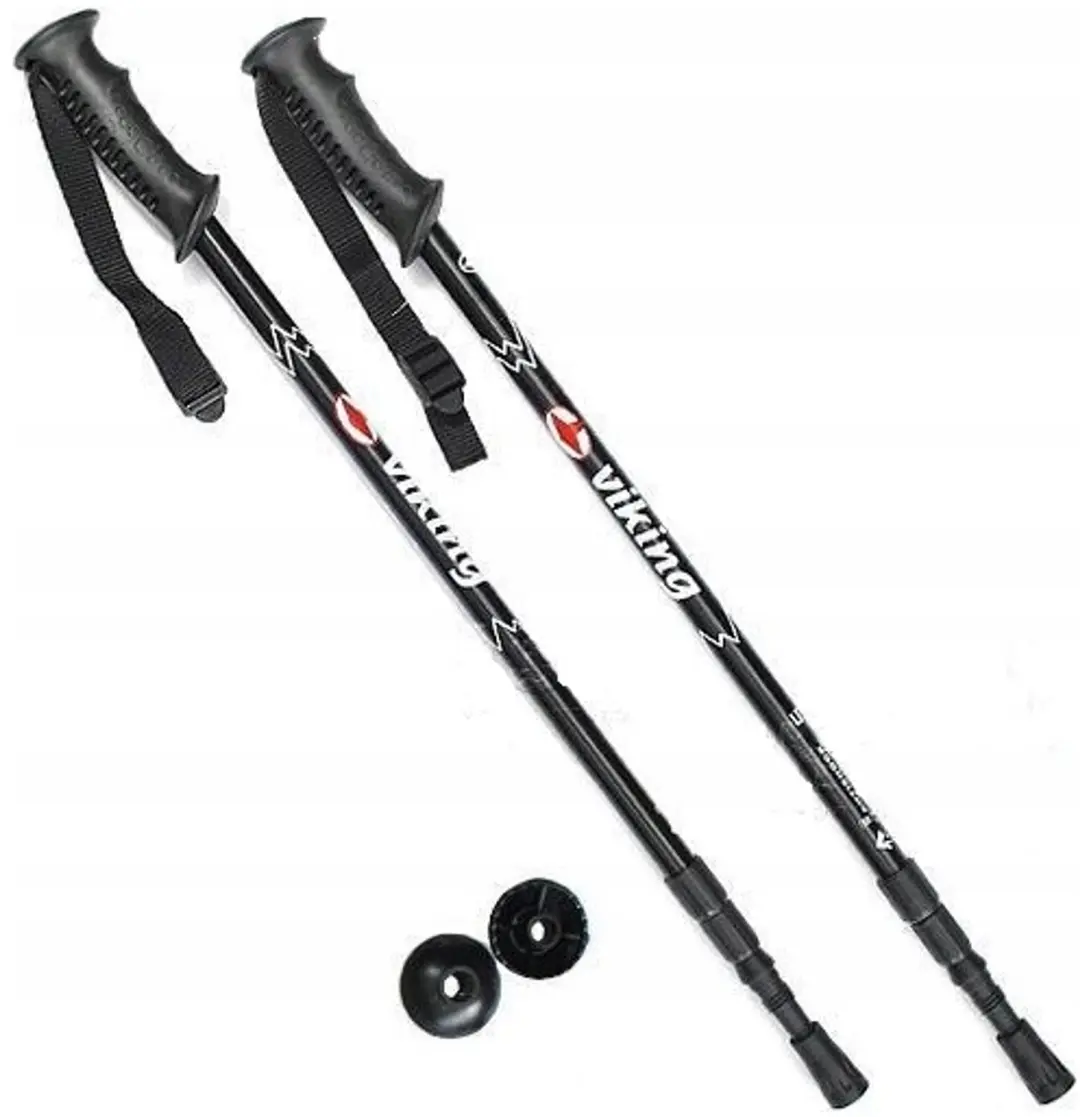 Viking Rock Nordic Walking Stokken