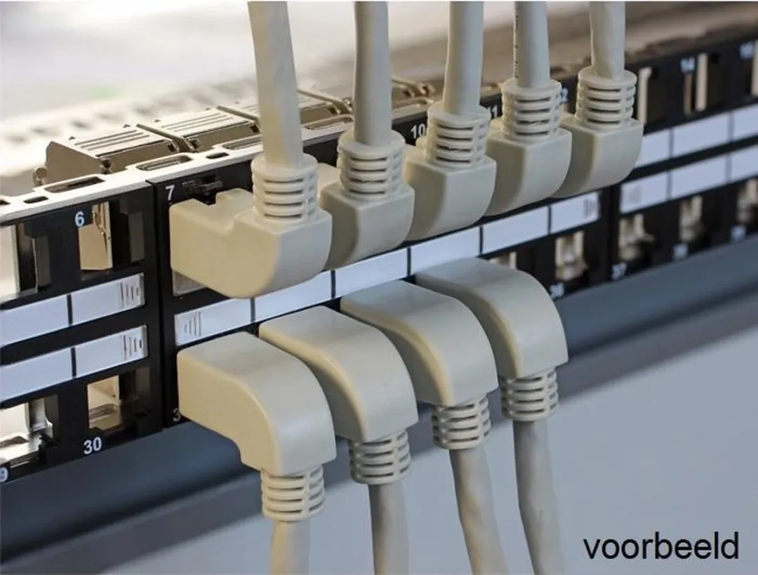 Delock Patchpanel 1HE 48 Poorten - Zwart