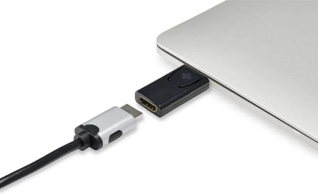 Renkforce RF-4746622 HDMI/DisplayPort Adapter - Zwart