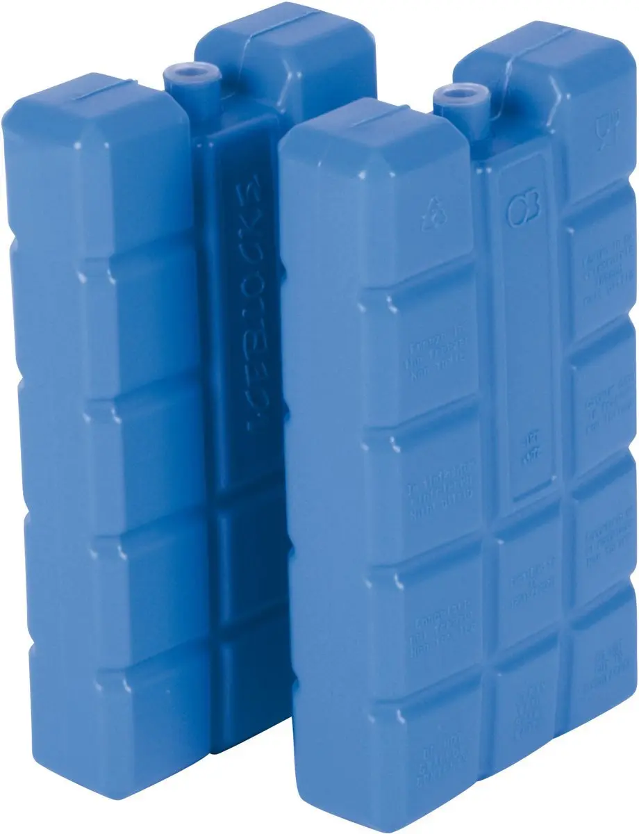 Excellent Houseware Koelelementen 2x 400g