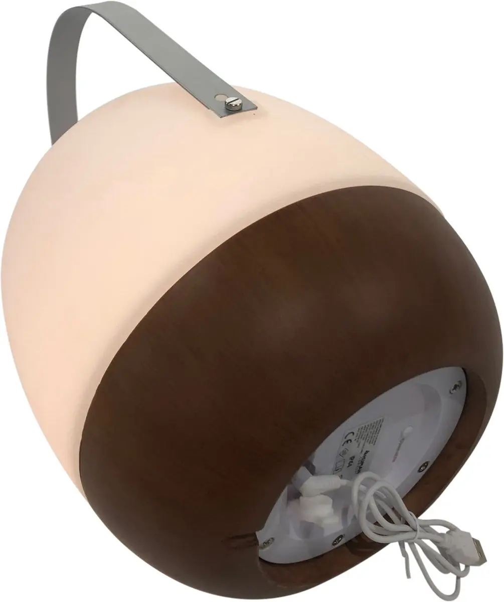 Human Comfort Cosy Lamp Pintac Wood Tafellamp met Speaker - afbeelding 2 van 3