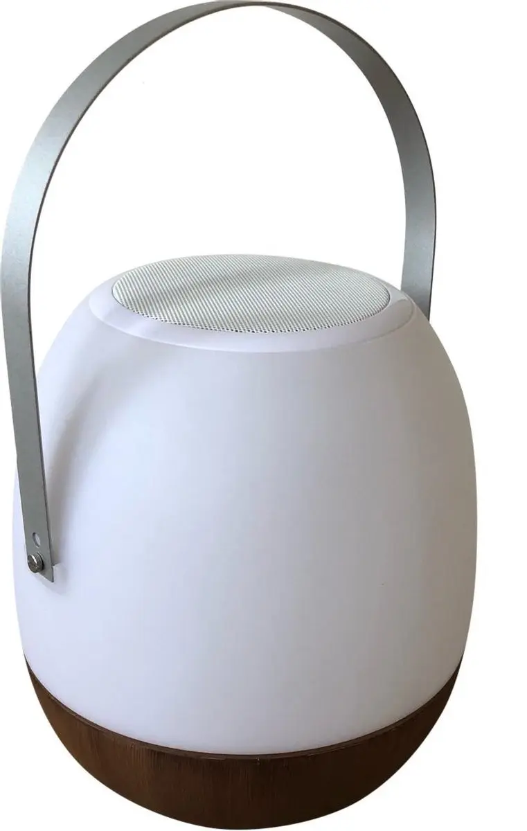 Human Comfort Cosy Lamp Pintac Wood Tafellamp met Speaker