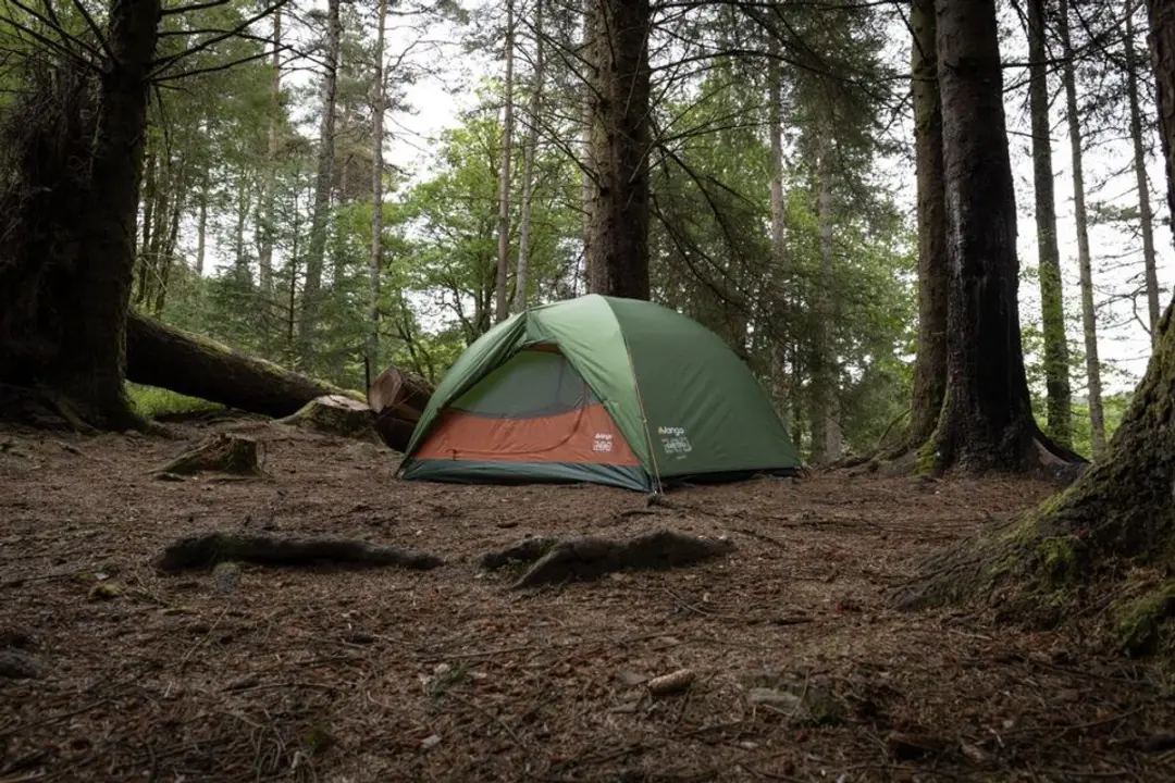 Vango Exedra 200 Koepeltent - Forest Green - afbeelding 6 van 6