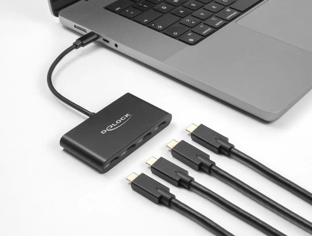 Delock 64174 USB Type-C Hub - 4 Poorten - 100W PD - Zwart