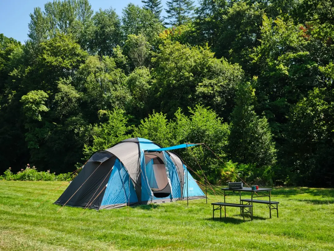 Coleman Spruce Falls 4 Tunneltent - 4 Persoons - afbeelding 5 van 6