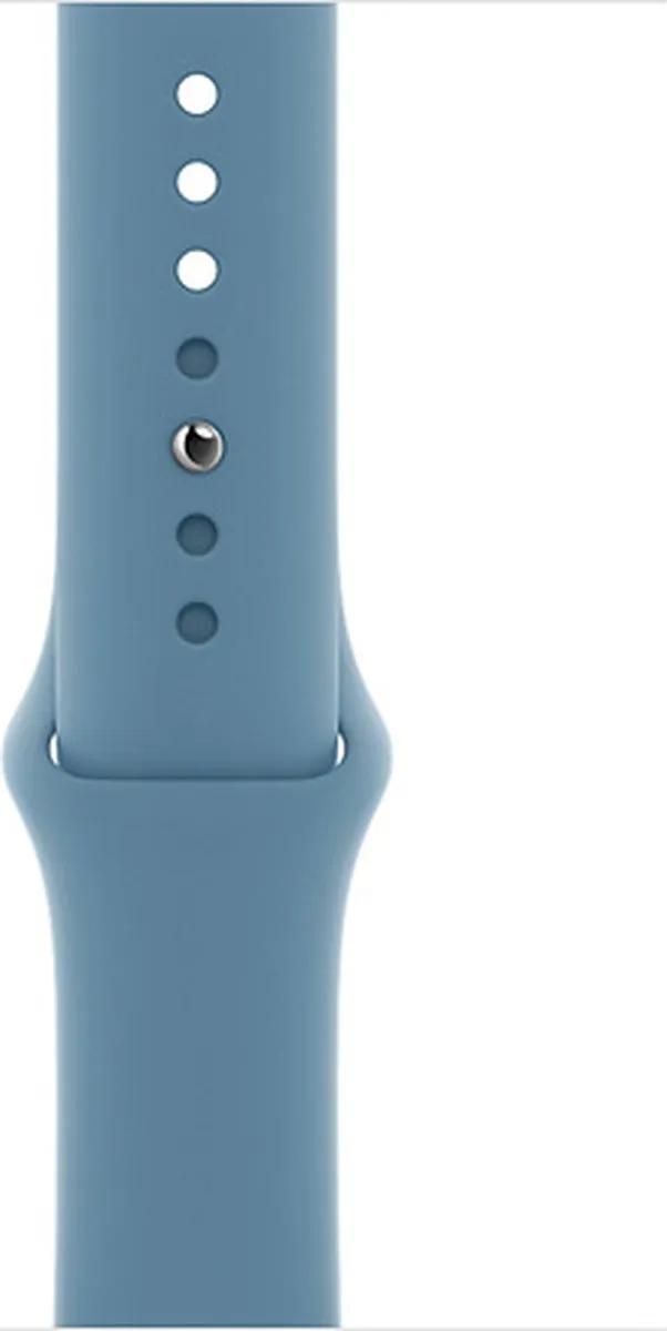 Apple Sport Band - Northern Blue - 42/44mm