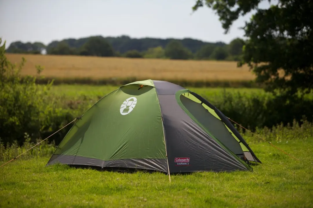 Coleman Darwin 3 Koepeltent - 3 Persoons - Grijs - afbeelding 2 van 6
