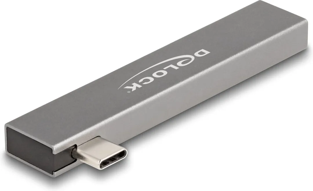 Delock 64274 Laptopdock USB 3.2 Gen 2 - Grijs