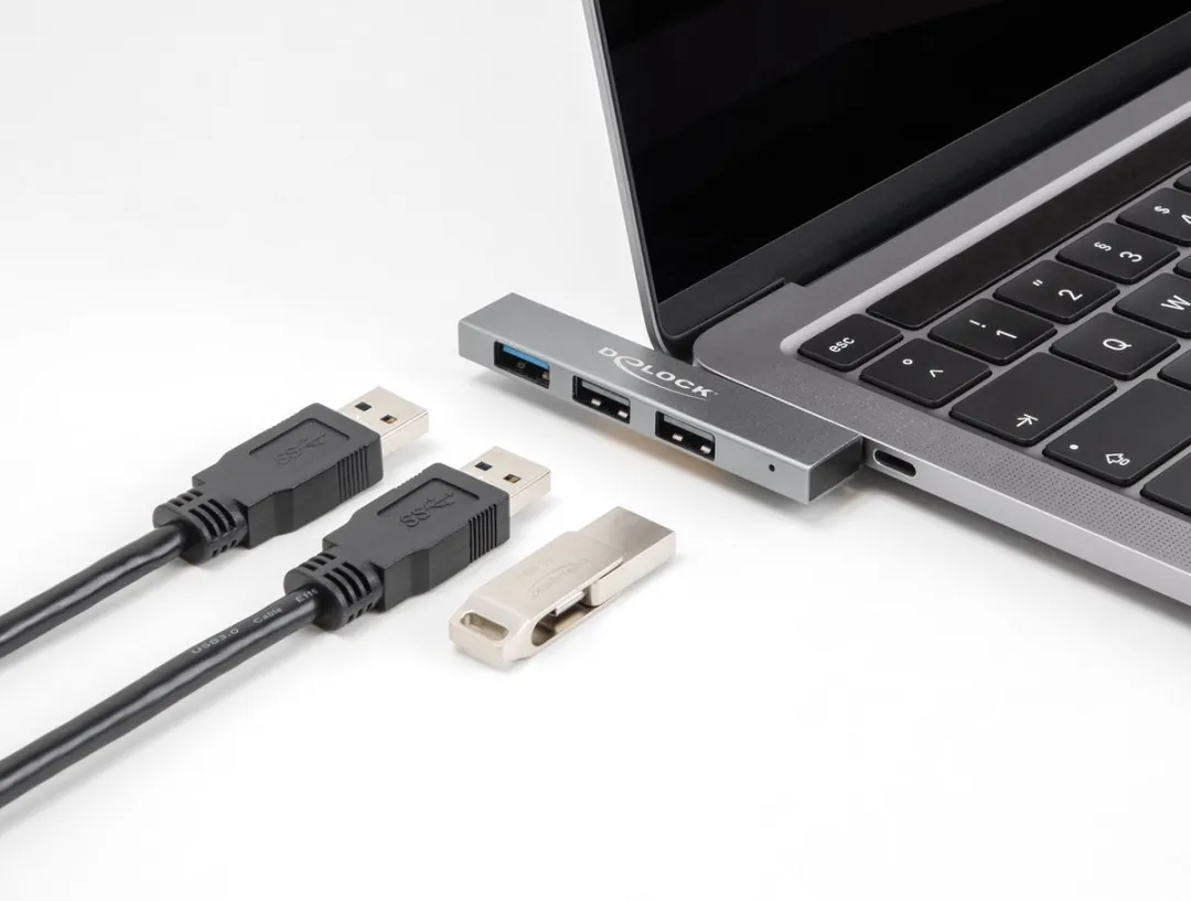 Delock 64274 Laptopdock USB 3.2 Gen 2 - Grijs