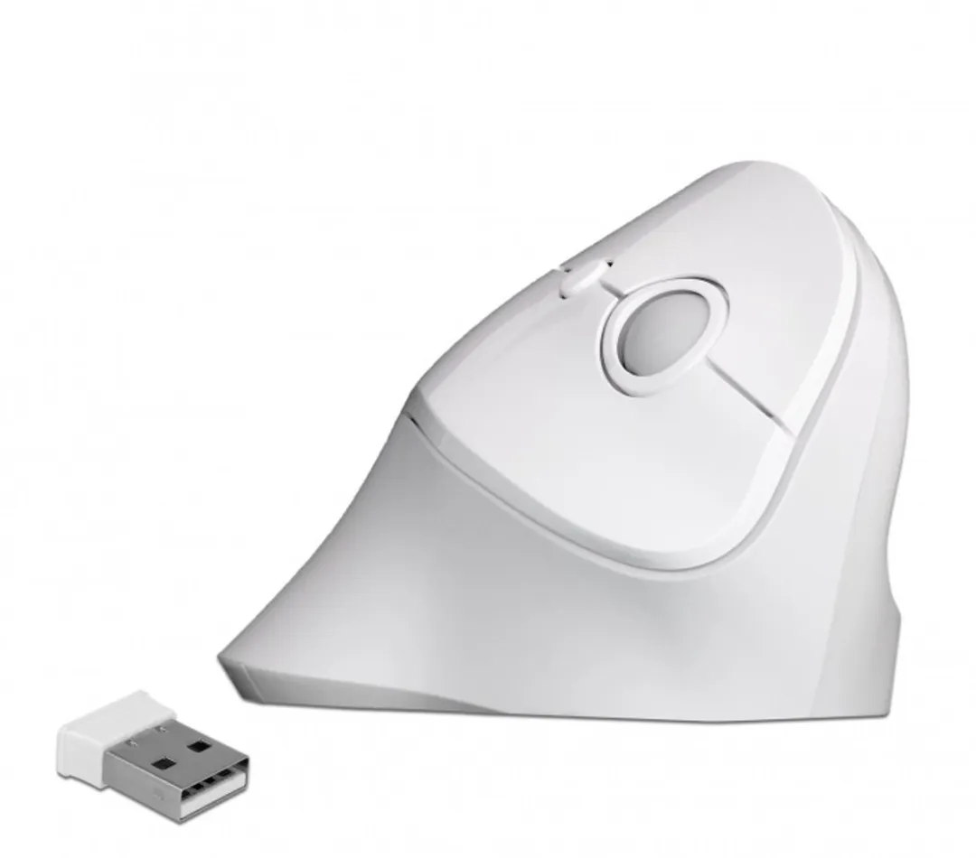 Delock 12596 Draadloze USB Muis