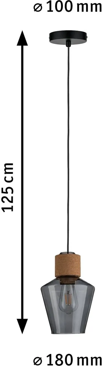 Paulmann Neordic Hanglamp Edla E27 20W Rookglas - Kurk/Zwart