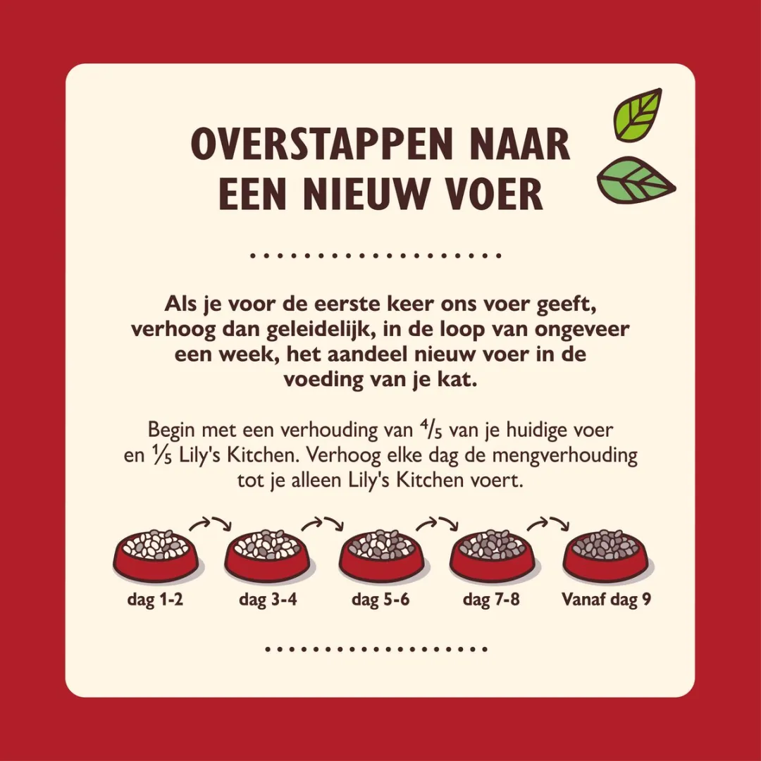 Lily's Kitchen Biologische Patés Multipack Kat - 32 Stuks