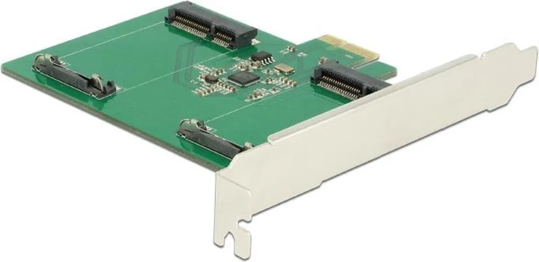 Delock PCI Express Kaart 2x mSATA