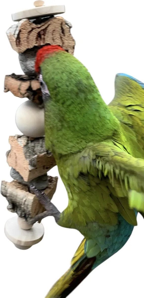 Home en dier -Vogel speelgoed - Papegaaien speelgoed - Oslo Stick van Home en dier - Lava stein
