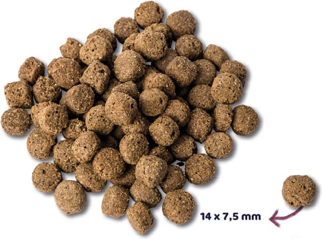 Renske Adult Oceaanvis Hondenvoer - 8 kg (4x2kg)