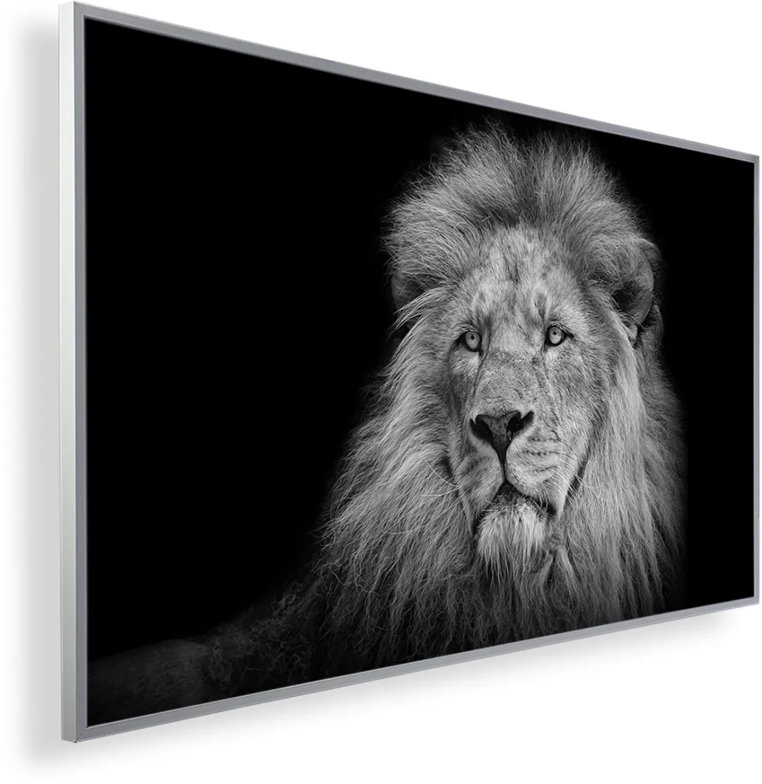 Könighaus Infrarood Lion 69 Verwarmingspaneel 300W