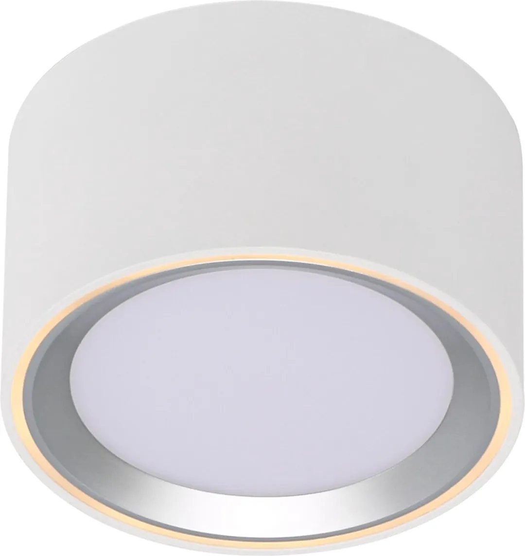 Nordlux Fallon Surface-downlight Moodmaker - 10cm - Wit/Staal