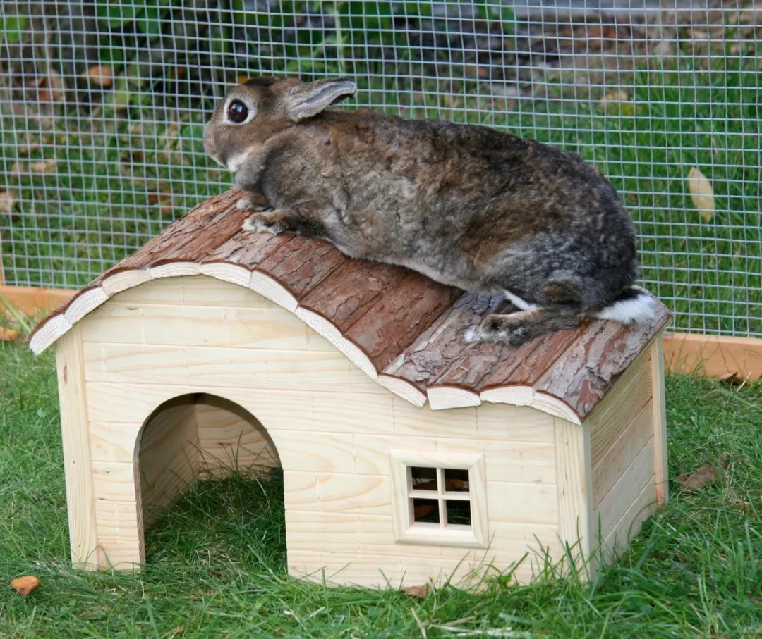 Kerbl Knaagdierhuis Nature
