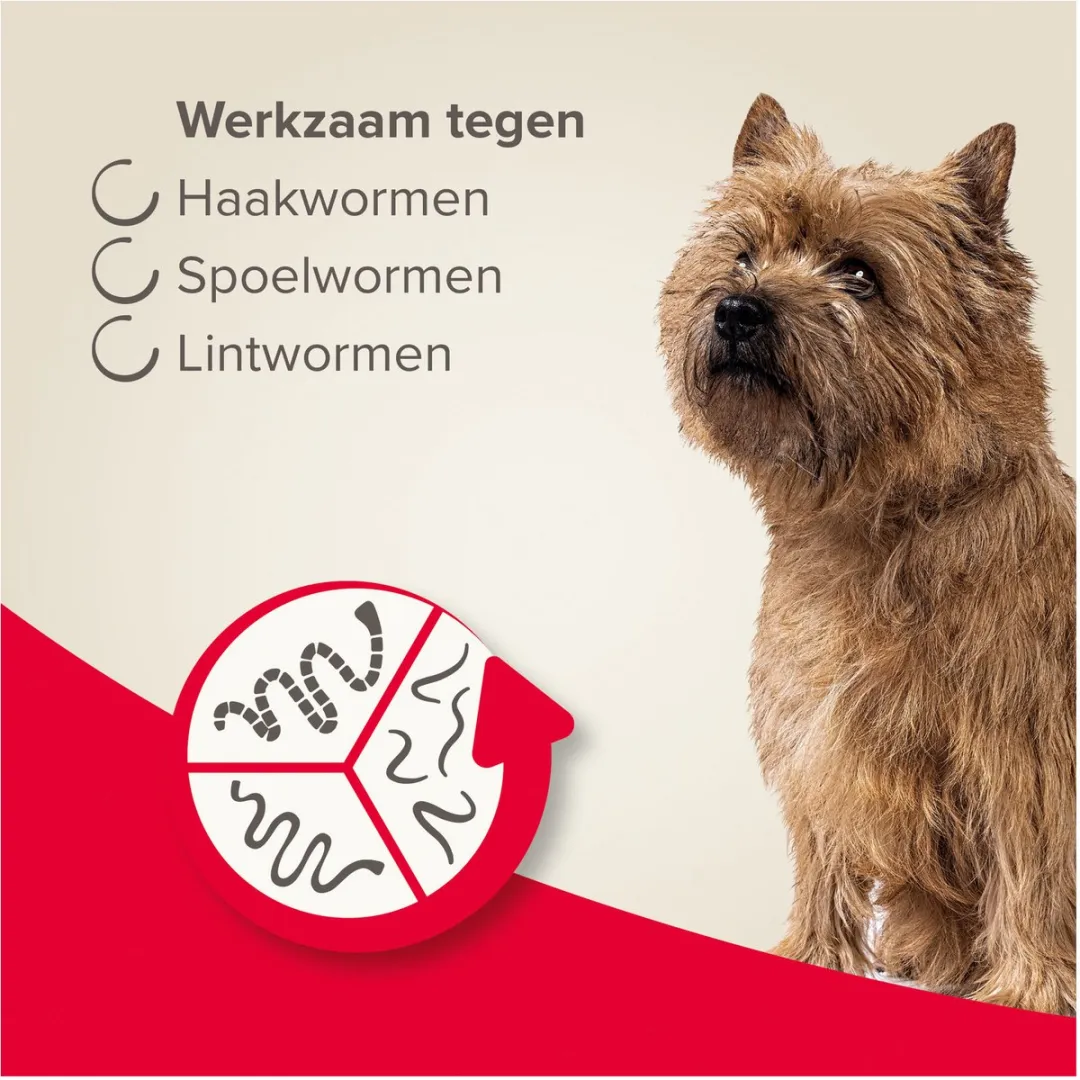 Beaphar All-in-one Ontworming Tabletten Hond 2,5-20kg - 2 Stuks