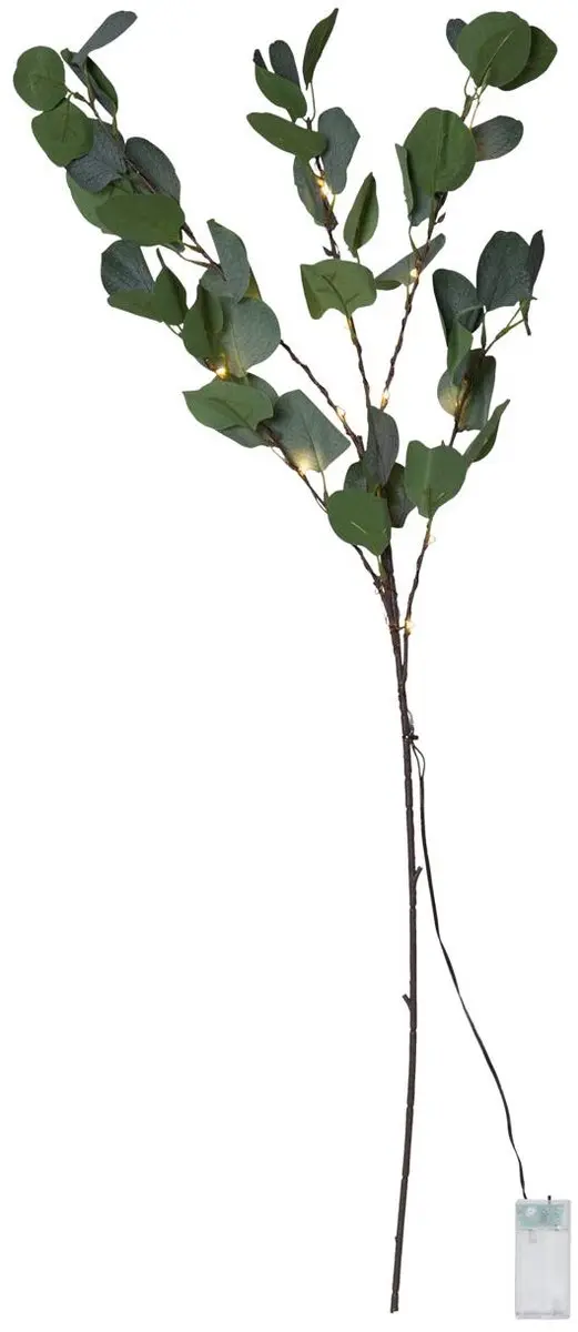 Star Trading LED decoratieve tak 'Eucalyptus', op batterijen + timer, verlichte