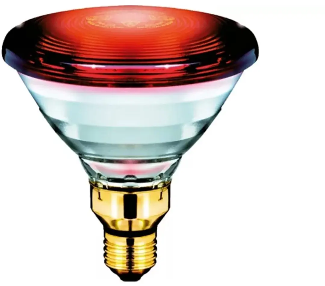 Philips Infrarood Warmtelamp E 175W - Rood - afbeelding 5 van 5