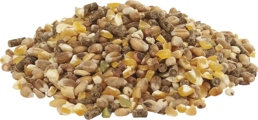 Versele-Laga Country's Best Gold 4 Mix Kippenvoer - 20 kg - afbeelding 2 van 6