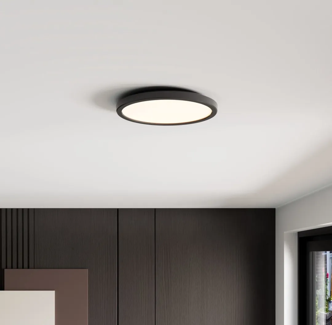 LEDVION LED Plafondlamp Ø24.4cm 13W 2700K - Zwart