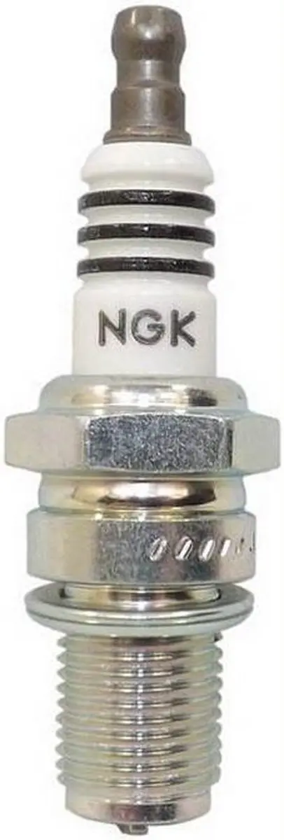 Nr.16