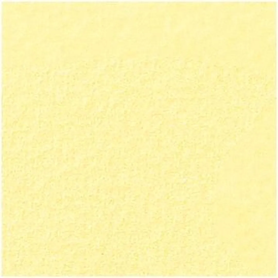 Folia Tekenpapier A4 Strogeel 130gr