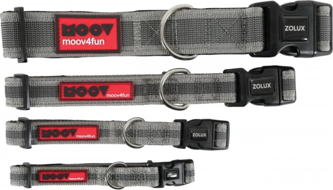 Zolux Moov Nylon Halsband - Grijs - Reflecterend - 20mm - M