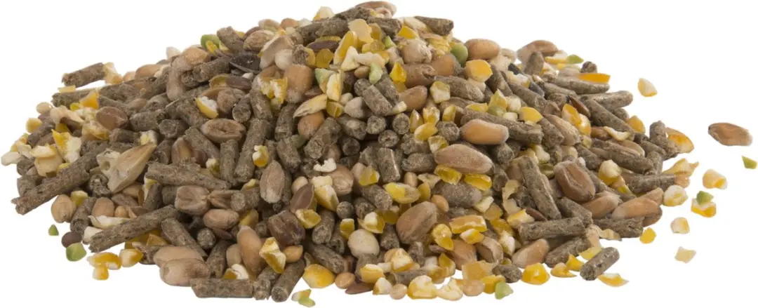 Versele-Laga Country's Best Gold 4 Mini Kippenvoer 2x20kg - afbeelding 2 van 4