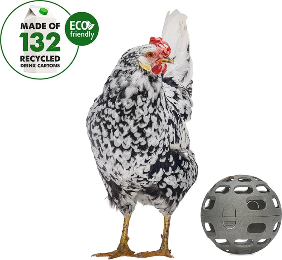 Beeztees Snackbal Kip - Grijs 15 cm - afbeelding 6 van 6