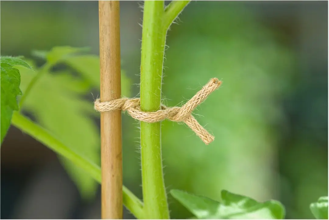 Nature Jute Bindtouw Ijzeren Kern 5m - Naturel - afbeelding 2 van 2