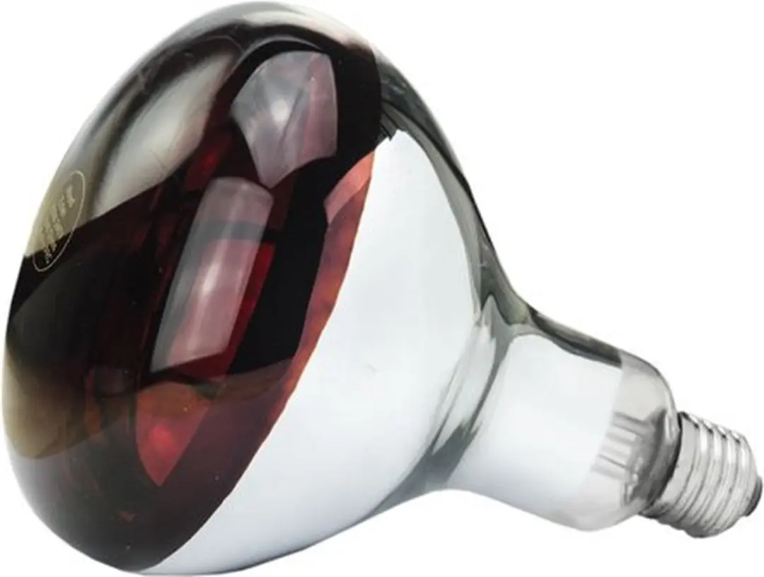 Philips Eider Warmtelamp 150Watt