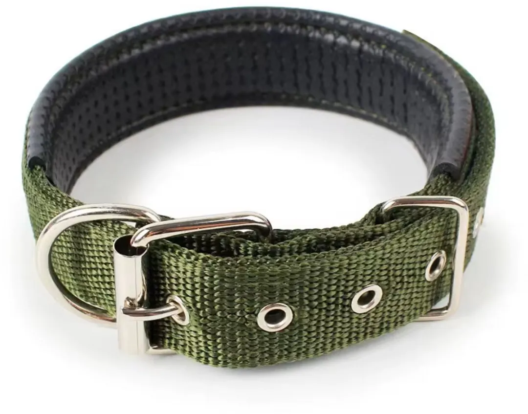 Dierboetiek Verstelbare Nylon Hondenhalsband - Groen - L