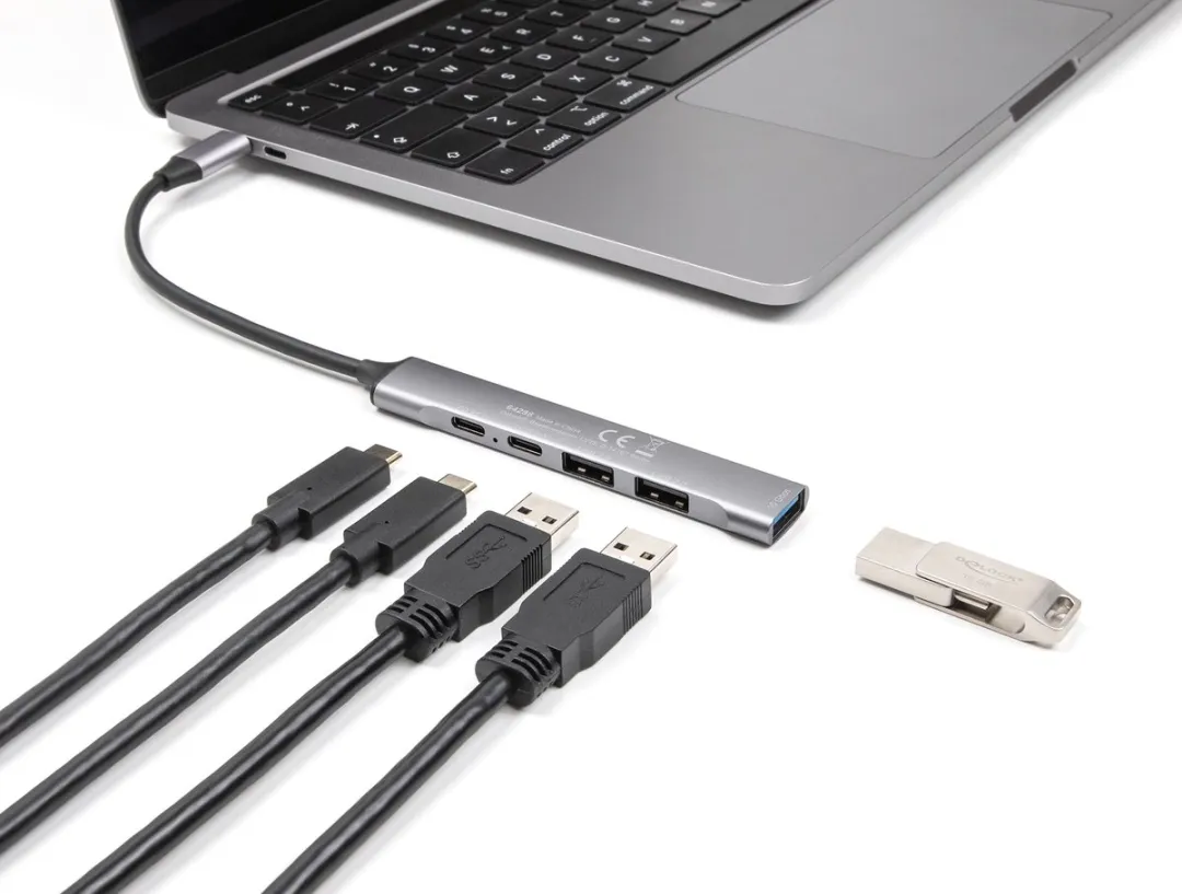 Delock 64298 USB-C Hub 4 Poorten - Grijs