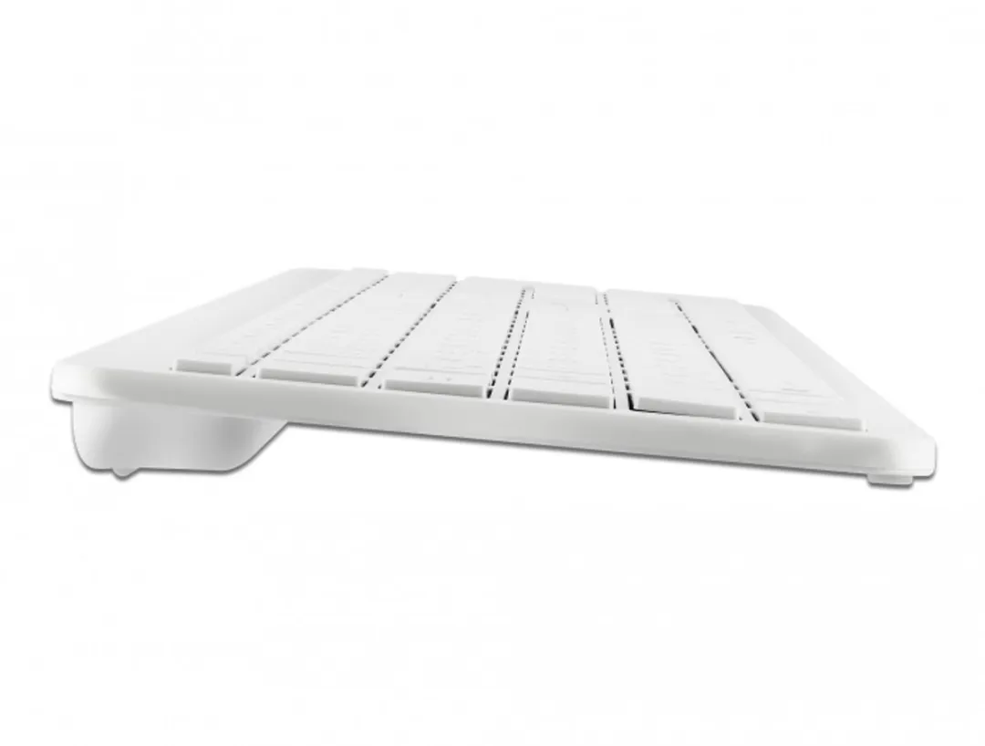 Delock 12014 Draadloos Toetsenbord 2.4GHz - Wit
