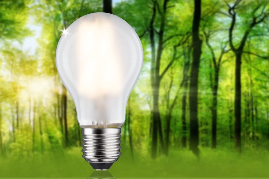 Paulmann Eco-Line LED-gloeilamp E27 5W 1055lm - Mat