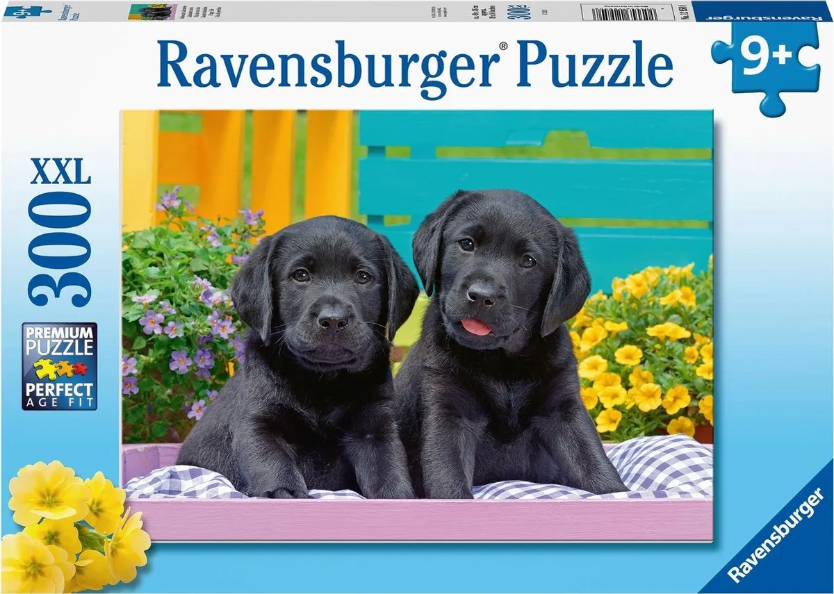 Ravensburger puzzel Zwarte labradors - Legpuzzel - 300 stukjes