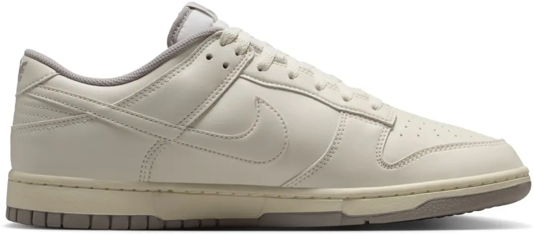 NIKE DUNK LOW RETRO HF5441-010 41