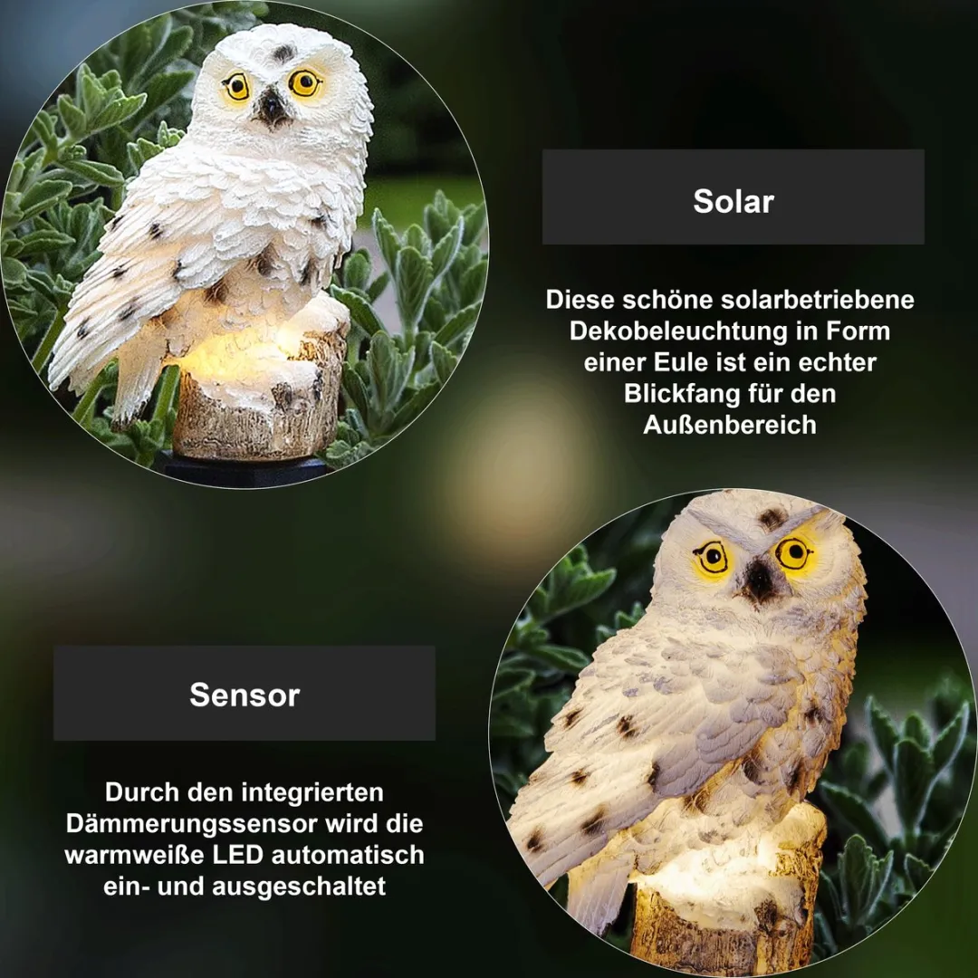 Star Trading Solar Path Light Uil - Zilver