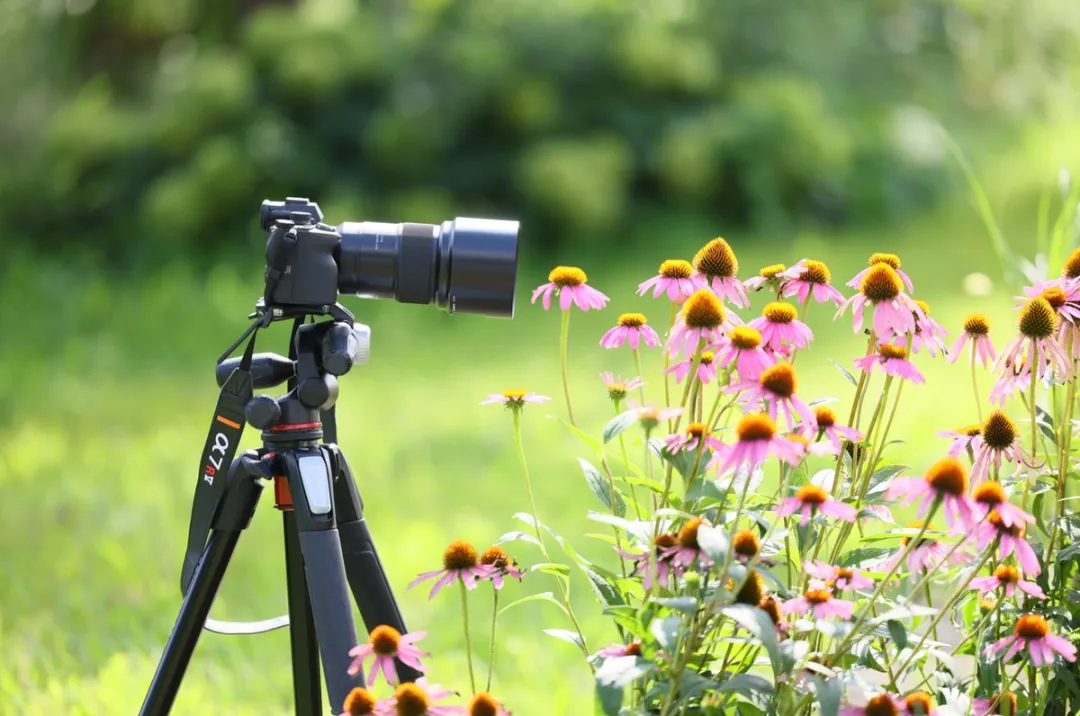 Tamron 90mm f/2.8 Di III Macro VXD Sony FE - 67mm