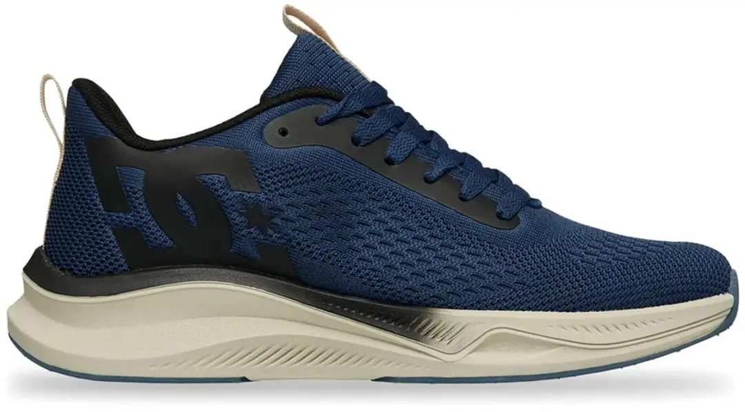 Dc Shoes Roammax Schoenen EU 42 Man