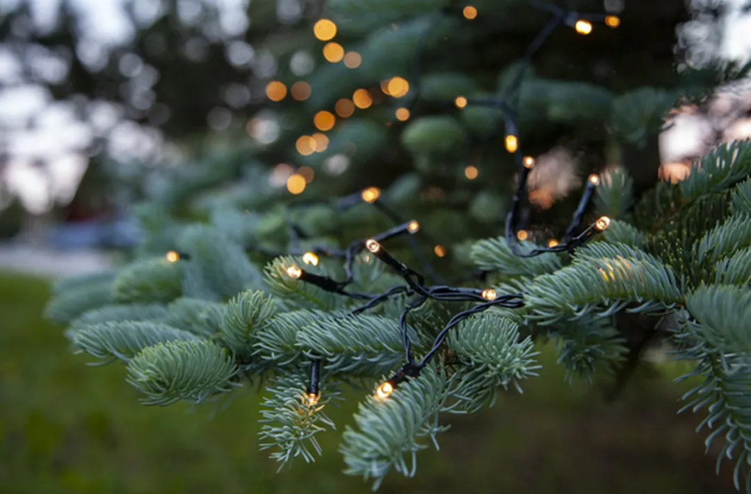 Star Trading Lichtdecoratie Ketting 160 LED - Warm wit - 9,6W
