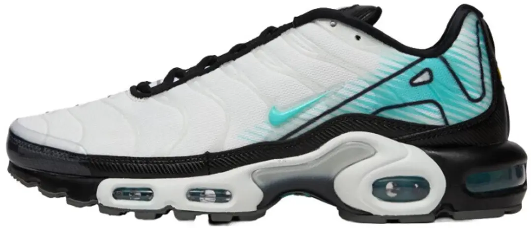 Nike Air Max Plus Maat 40