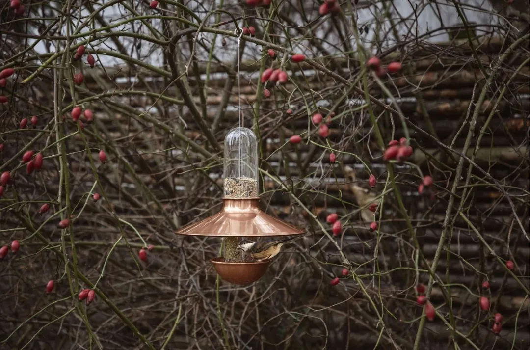 Eva Solo Vogelvoeder De Luxe Messing - Borosilicaatglas