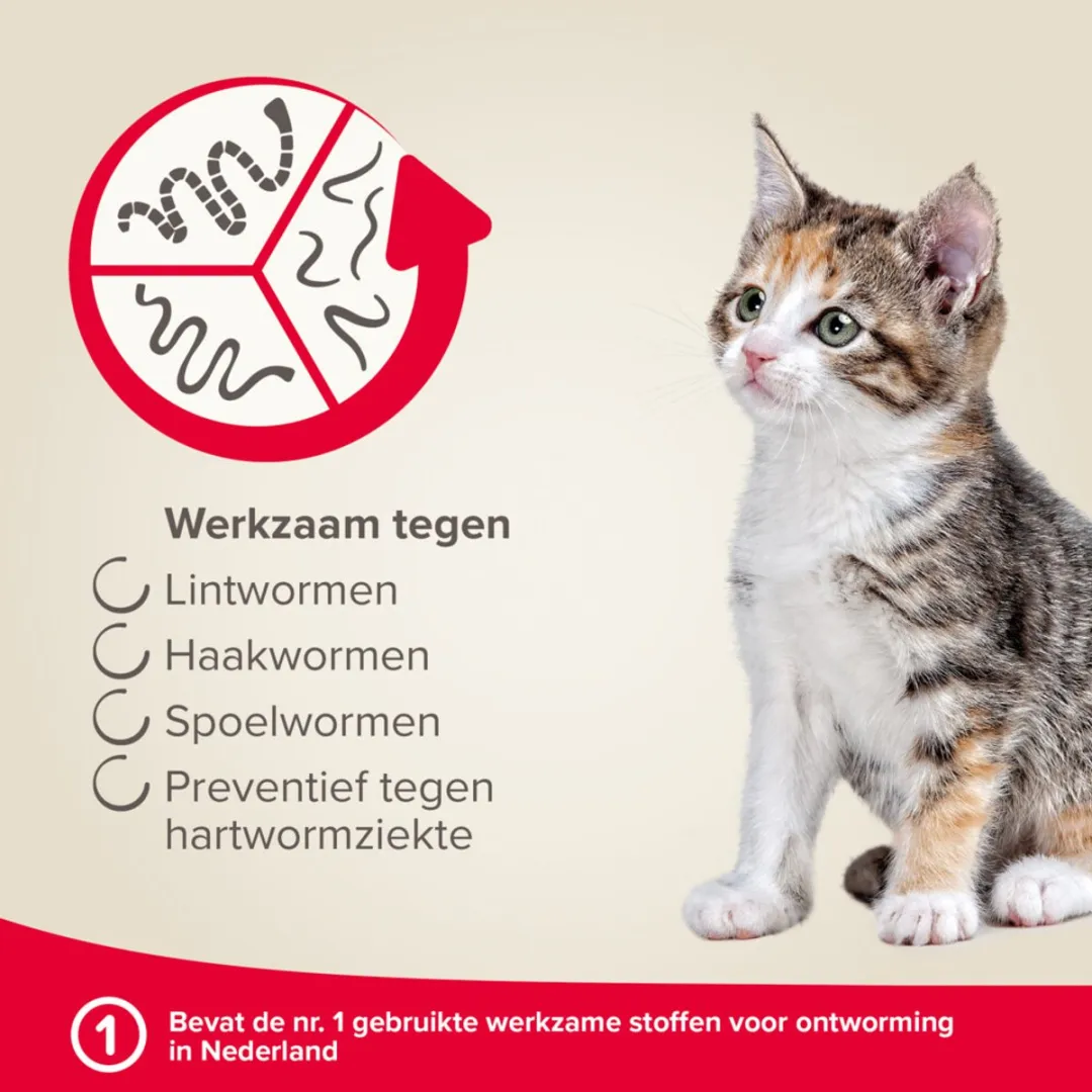 Beaphar Milquestra Kattenontwormer 2 tabletten - 64ml - afbeelding 6 van 6